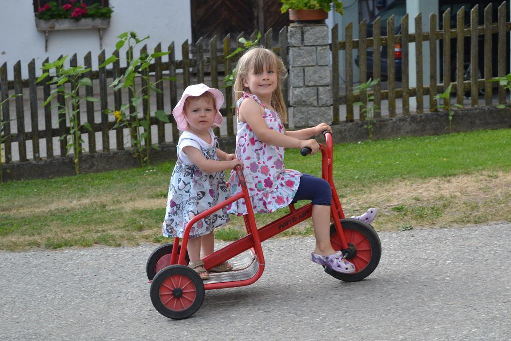 Klieber - Urlaub Am Biobauernhof Villa Millstatt Bagian luar foto