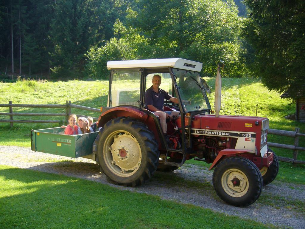 Klieber - Urlaub Am Biobauernhof Villa Millstatt Bagian luar foto