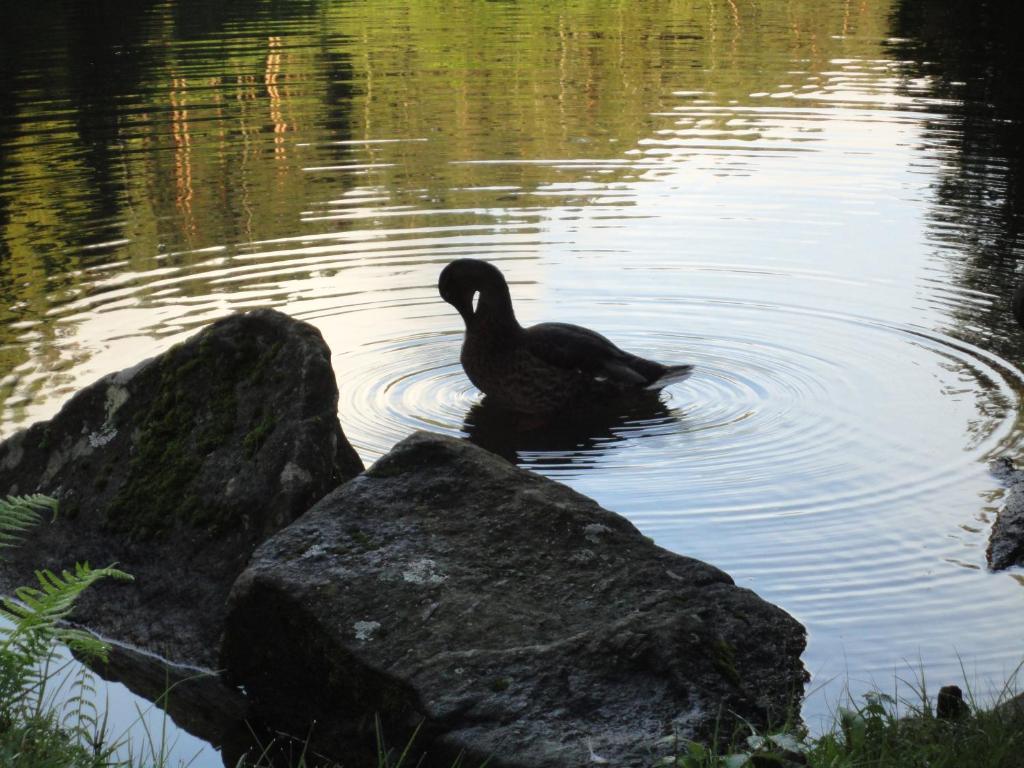 Klieber - Urlaub Am Biobauernhof Villa Millstatt Bagian luar foto